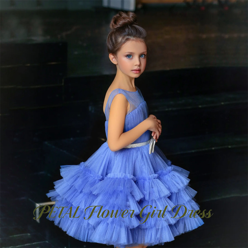 ชุดเดรสเด็กสีฟ้าพาสเทลแบบไม่มี - Birthday Sash Glitter บทวิจารณ์และราคา